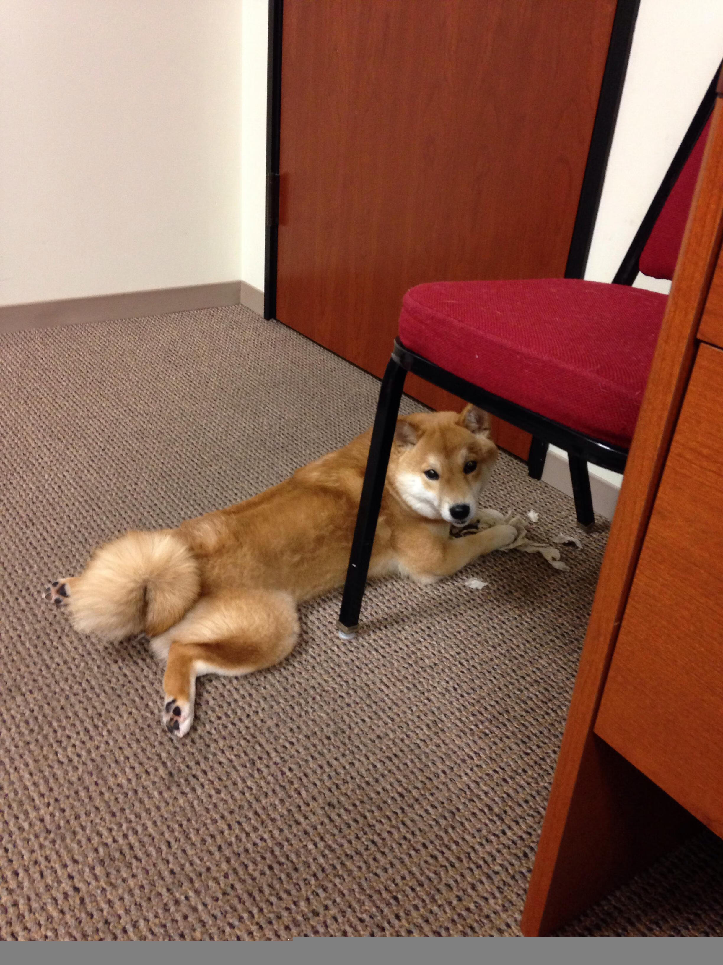 世俱杯2025赛程-青训体系建设纳入体育中考足球参与率稳步上升，中国足球青训大纲内容